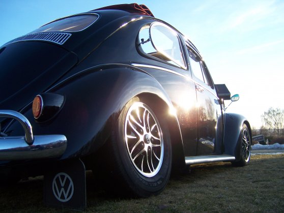 1959 beetle 3.jpg